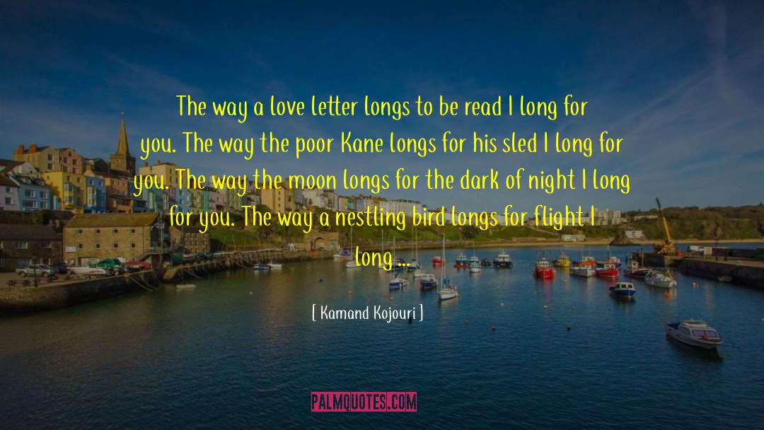 Kamand Kojouri Quotes: The way a love letter