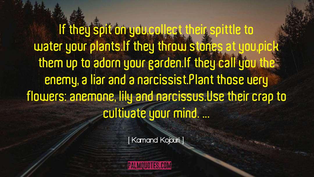 Kamand Kojouri Quotes: If they spit on you,<br