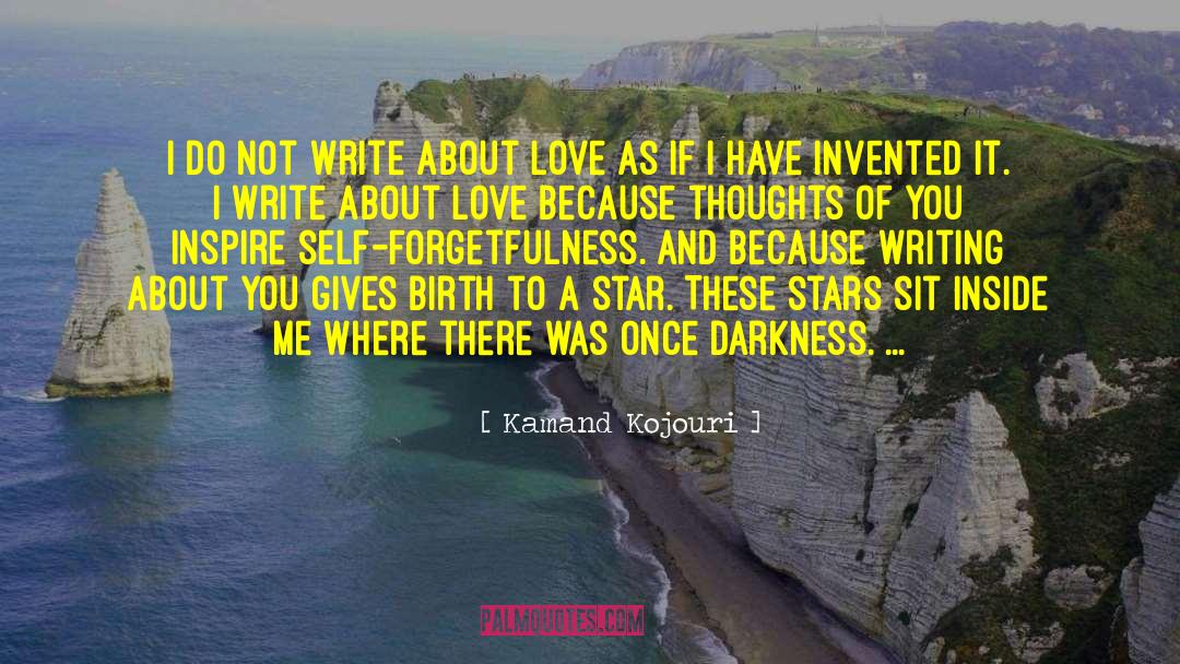 Kamand Kojouri Quotes: I do not write about