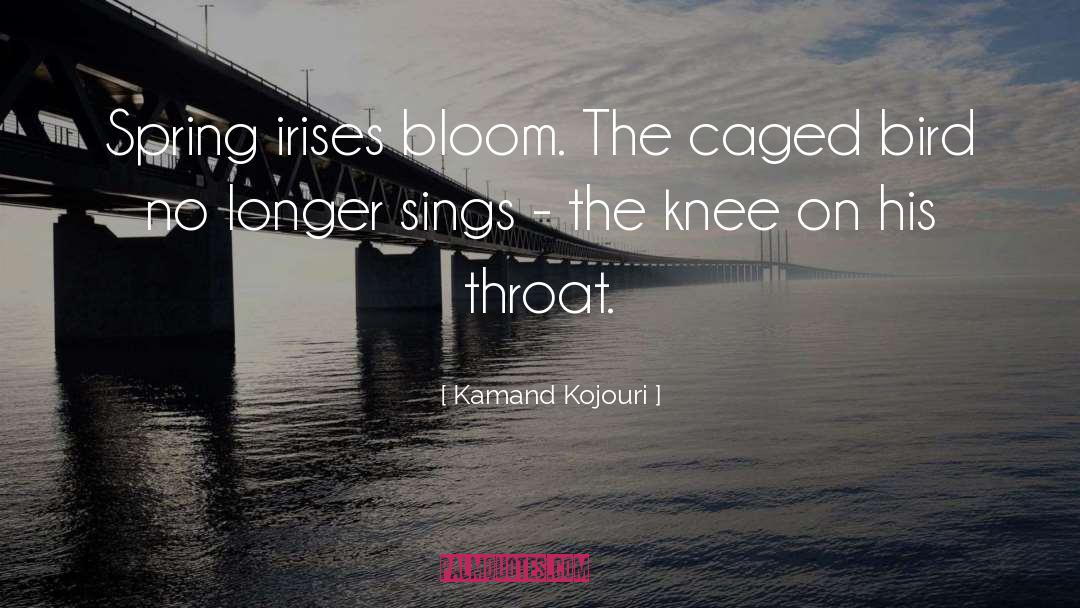 Kamand Kojouri Quotes: Spring irises bloom. <br />The