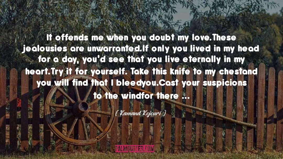 Kamand Kojouri Quotes: It offends me when you