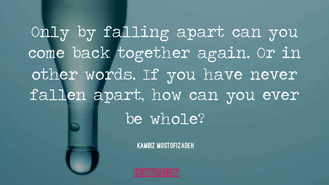 Kambiz Mostofizadeh Quotes: Only by falling apart can