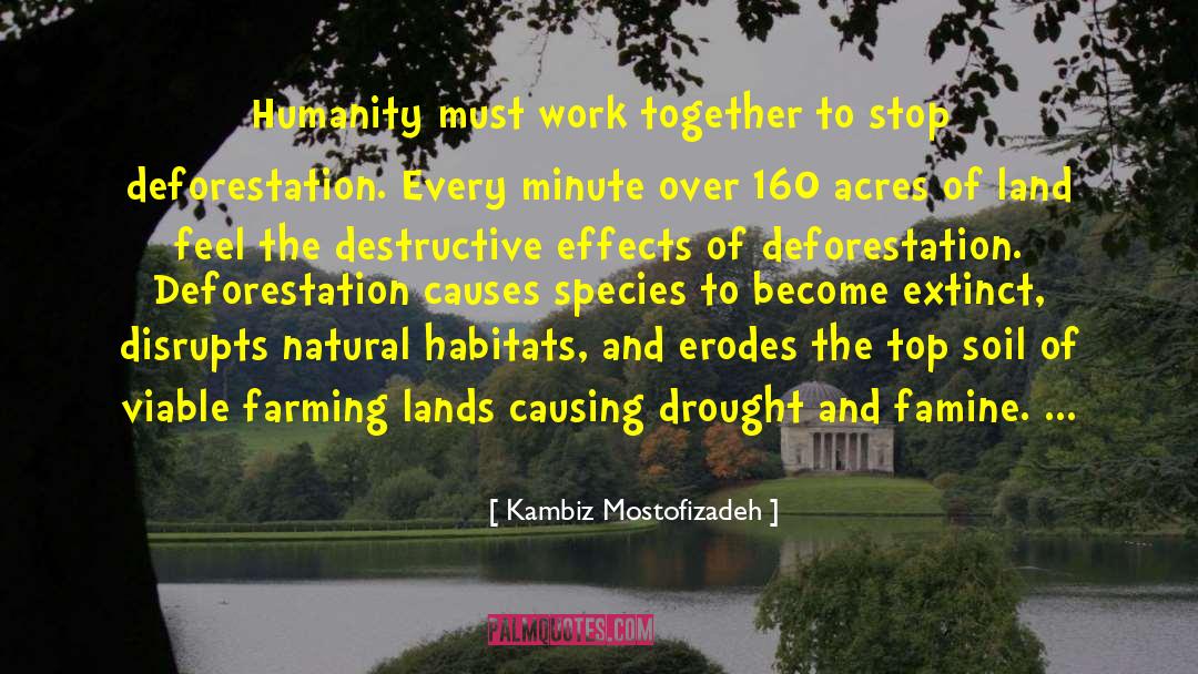 Kambiz Mostofizadeh Quotes: Humanity must work together to