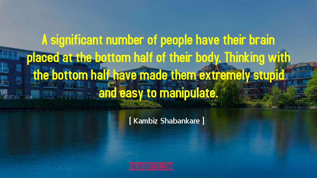 Kambiz Shabankare Quotes: A significant number of people