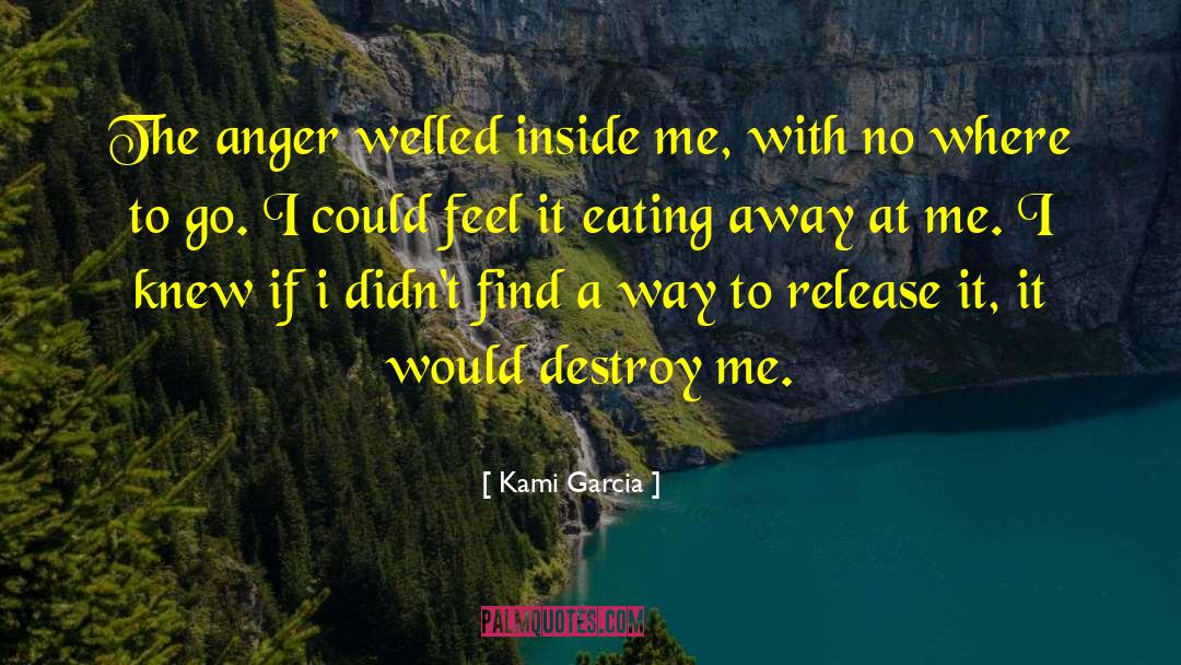 Kami Garcia Quotes: The anger welled inside me,