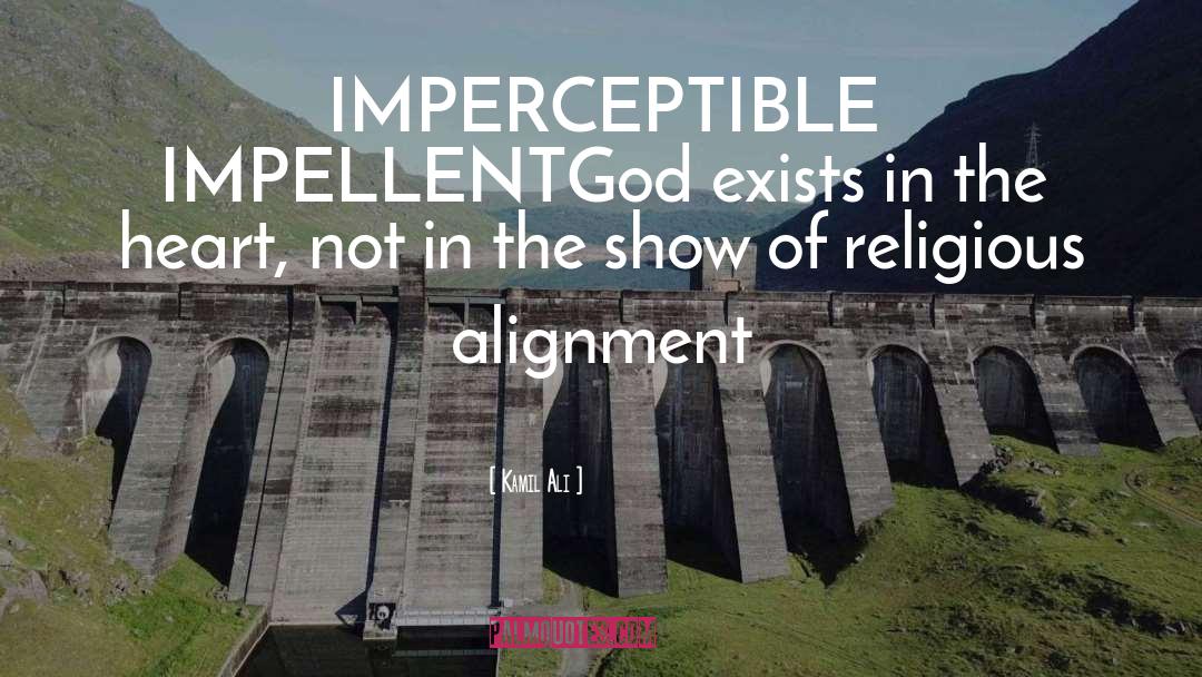 Kamil Ali Quotes: IMPERCEPTIBLE IMPELLENT<br>God exists in the