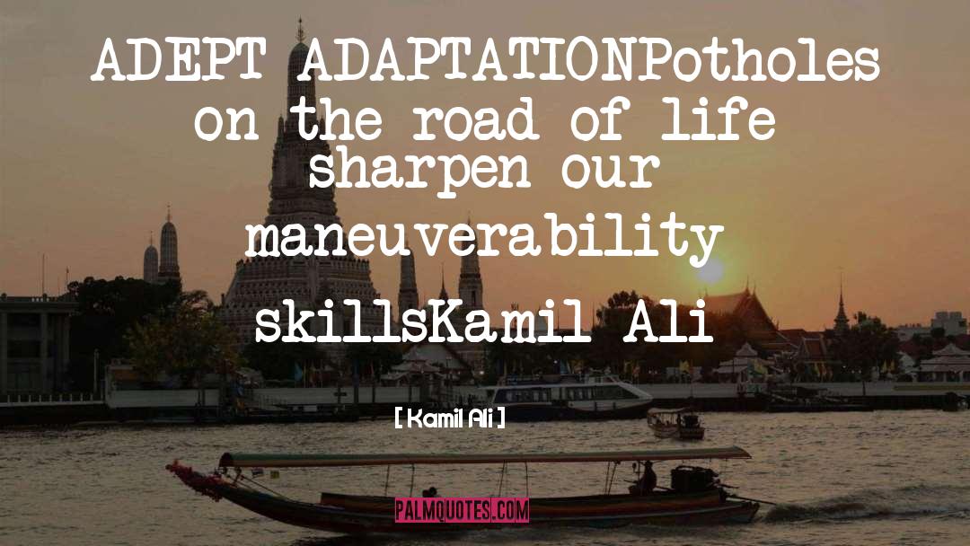 Kamil Ali Quotes: ADEPT ADAPTATION<br>Potholes on the road