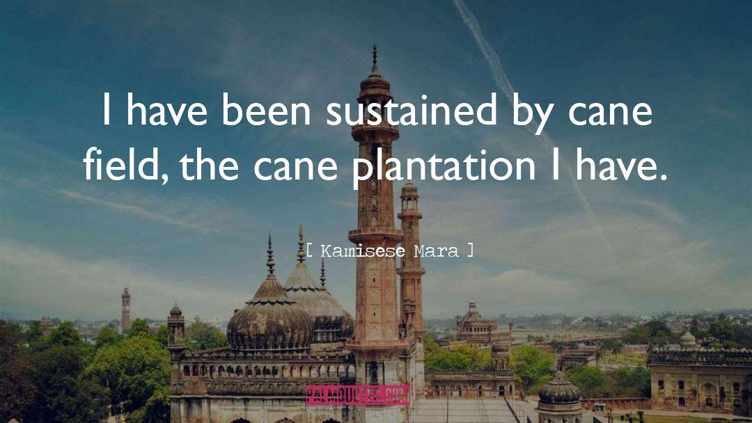 Kamisese Mara Quotes: I have been sustained by