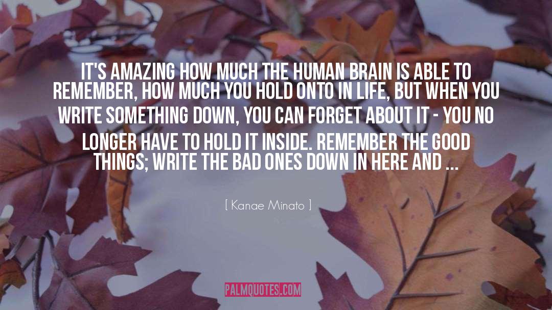 Kanae Minato Quotes: It's amazing how much the