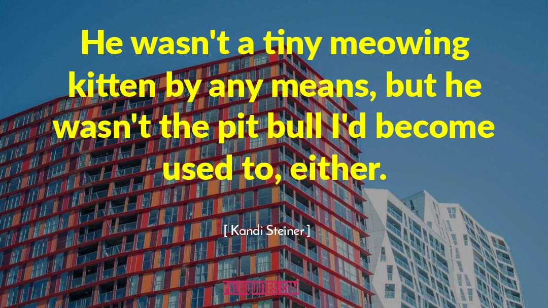 Kandi Steiner Quotes: He wasn't a tiny meowing