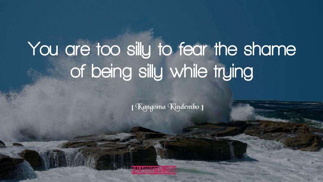 Kangoma Kindembo Quotes: You are too silly to