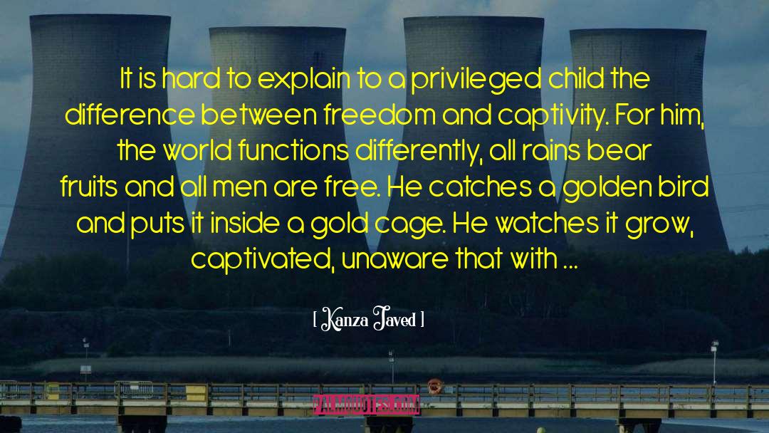 Kanza Javed Quotes: It is hard to explain