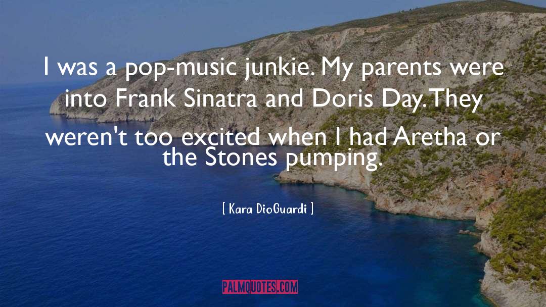Kara DioGuardi Quotes: I was a pop-music junkie.