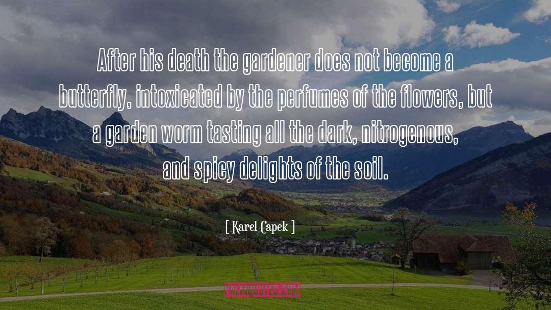 Karel Capek Quotes: After his death the gardener