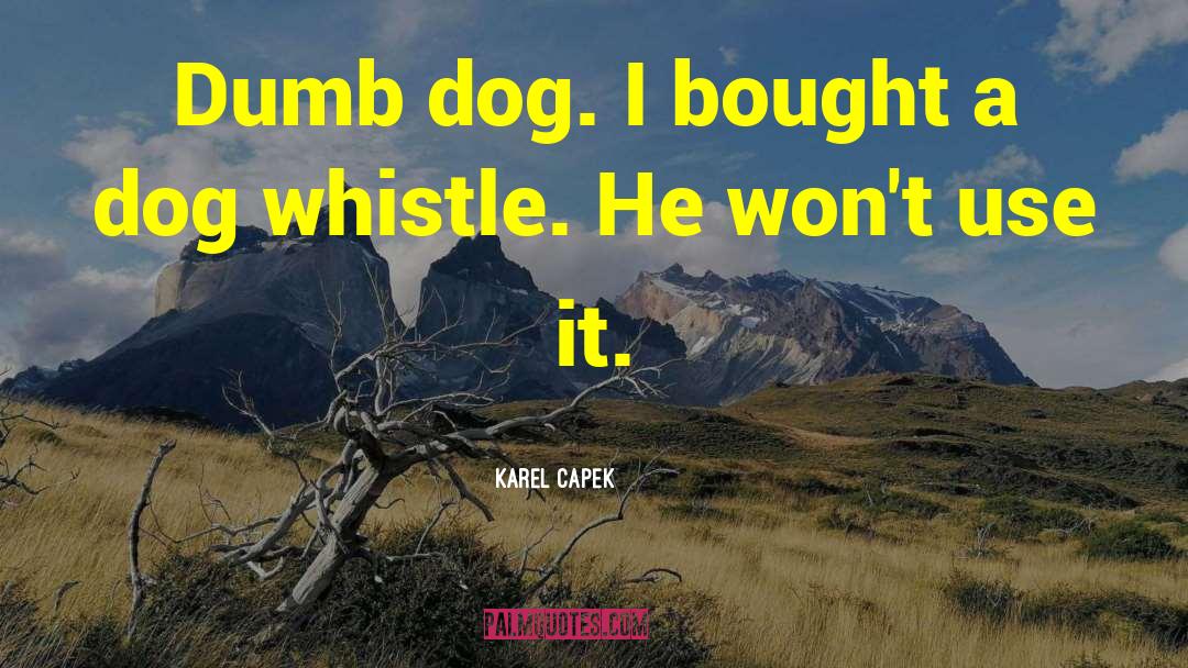 Karel Capek Quotes: Dumb dog. I bought a