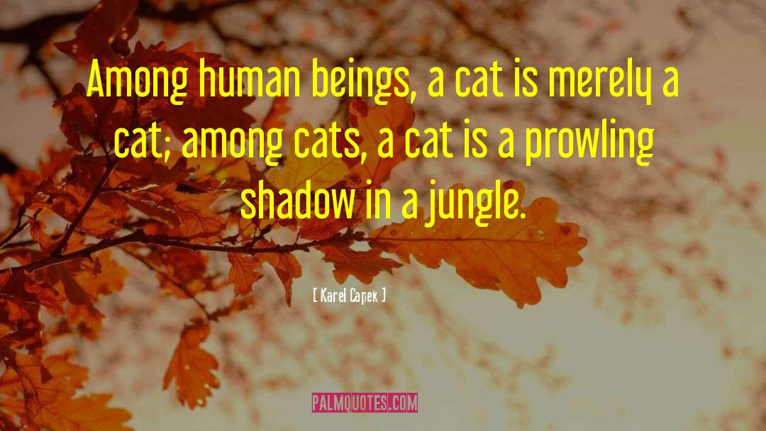 Karel Capek Quotes: Among human beings, a cat