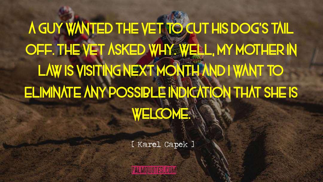 Karel Capek Quotes: A guy wanted the vet