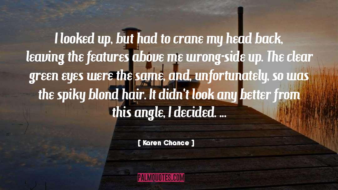 Karen Chance Quotes: I looked up, but had