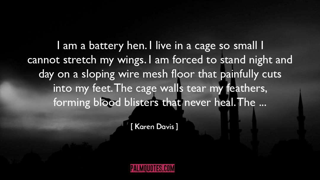 Karen Davis Quotes: I am a battery hen.