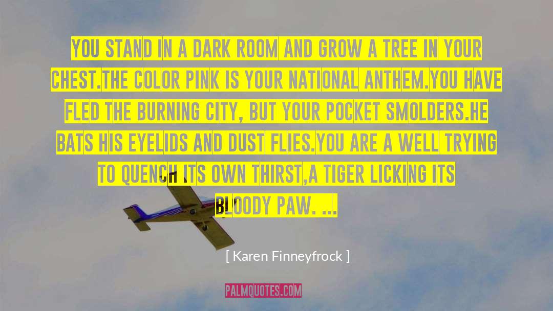 Karen Finneyfrock Quotes: You stand in a dark