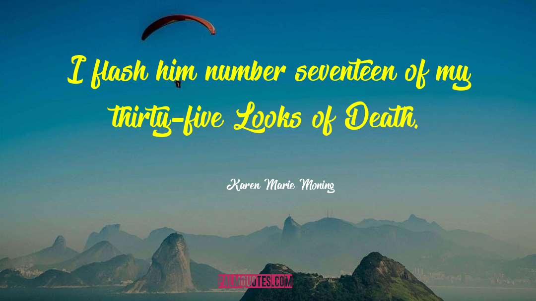 Karen Marie Moning Quotes: I flash him number seventeen