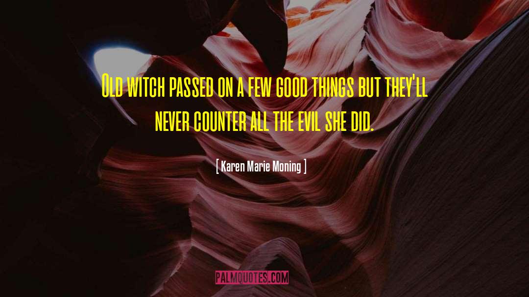 Karen Marie Moning Quotes: Old witch passed on a