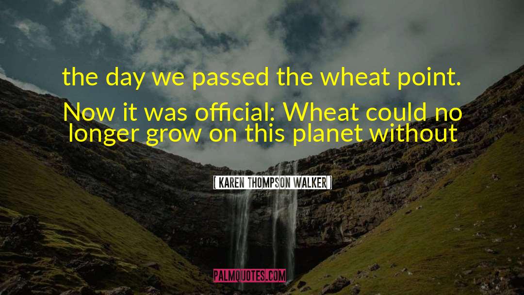 Karen Thompson Walker Quotes: the day we passed the