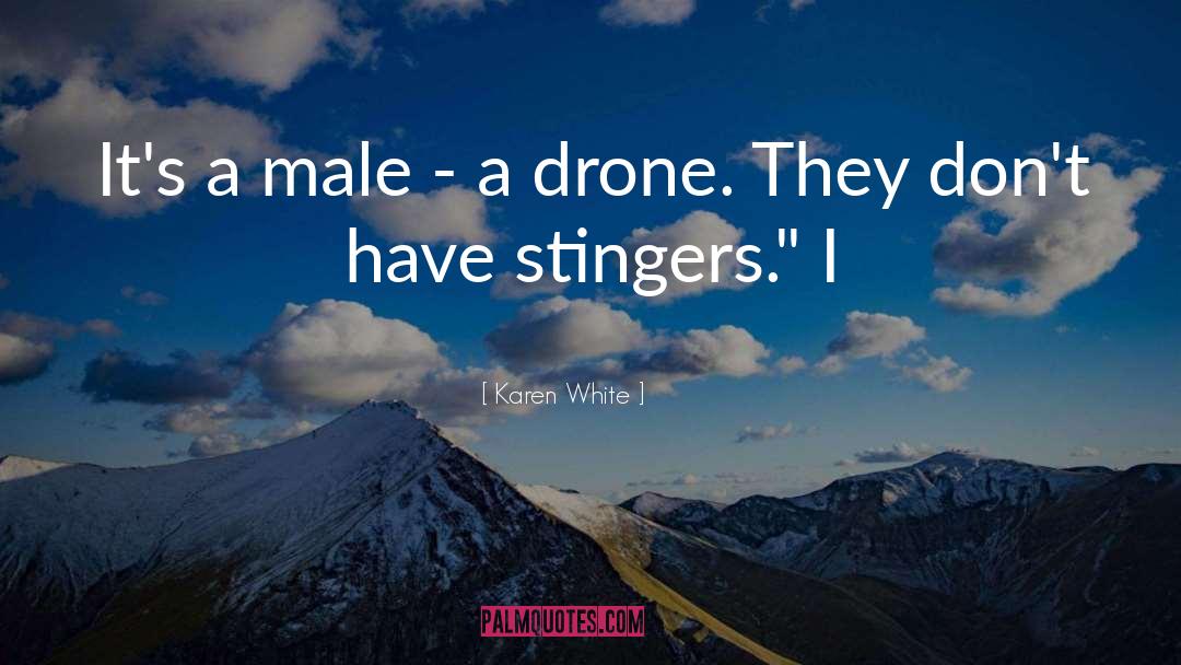 Karen White Quotes: It's a male - a