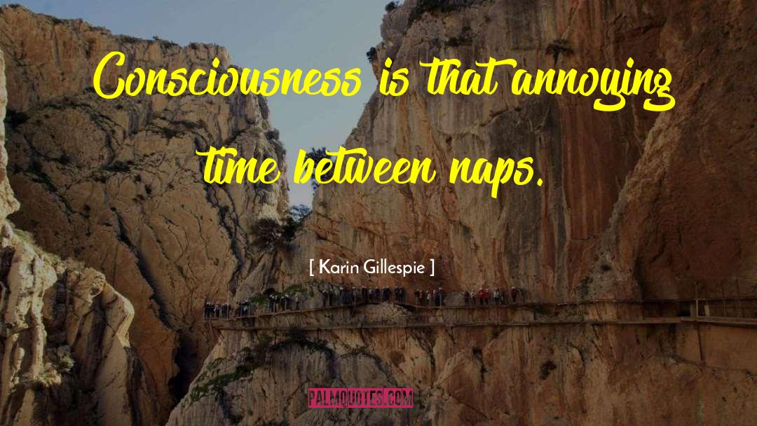 Karin Gillespie Quotes: Consciousness is that annoying time