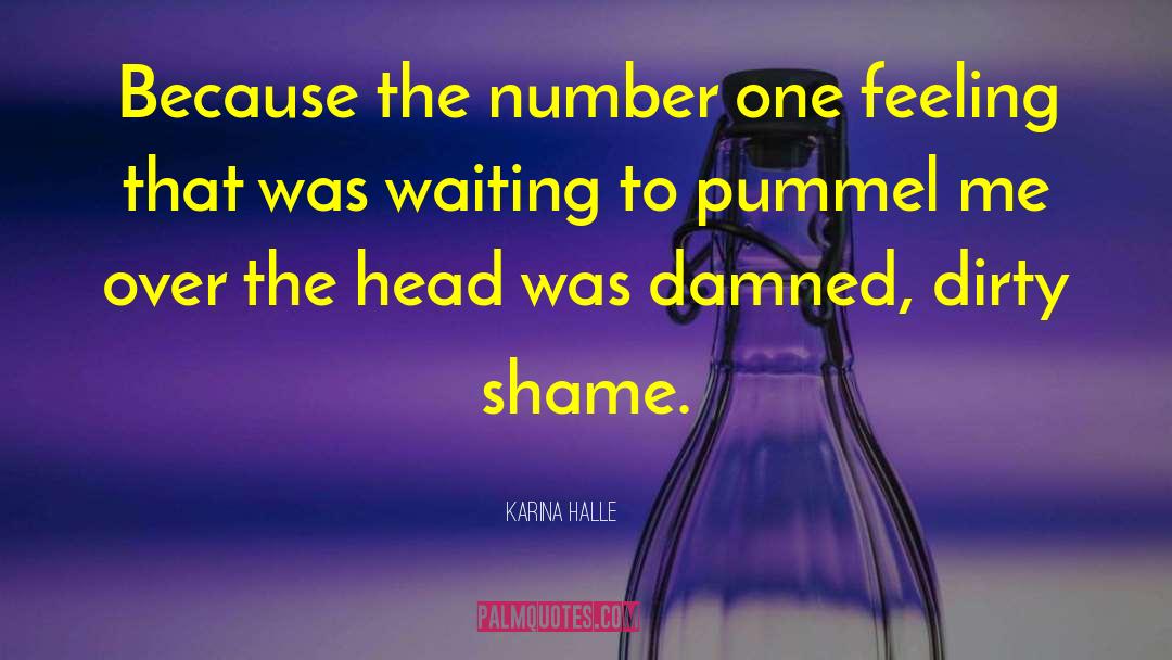 Karina Halle Quotes: Because the number one feeling