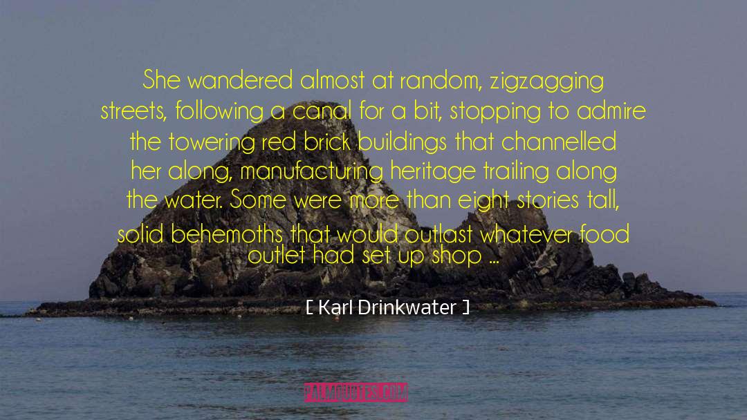 Karl Drinkwater Quotes: She wandered almost at random,