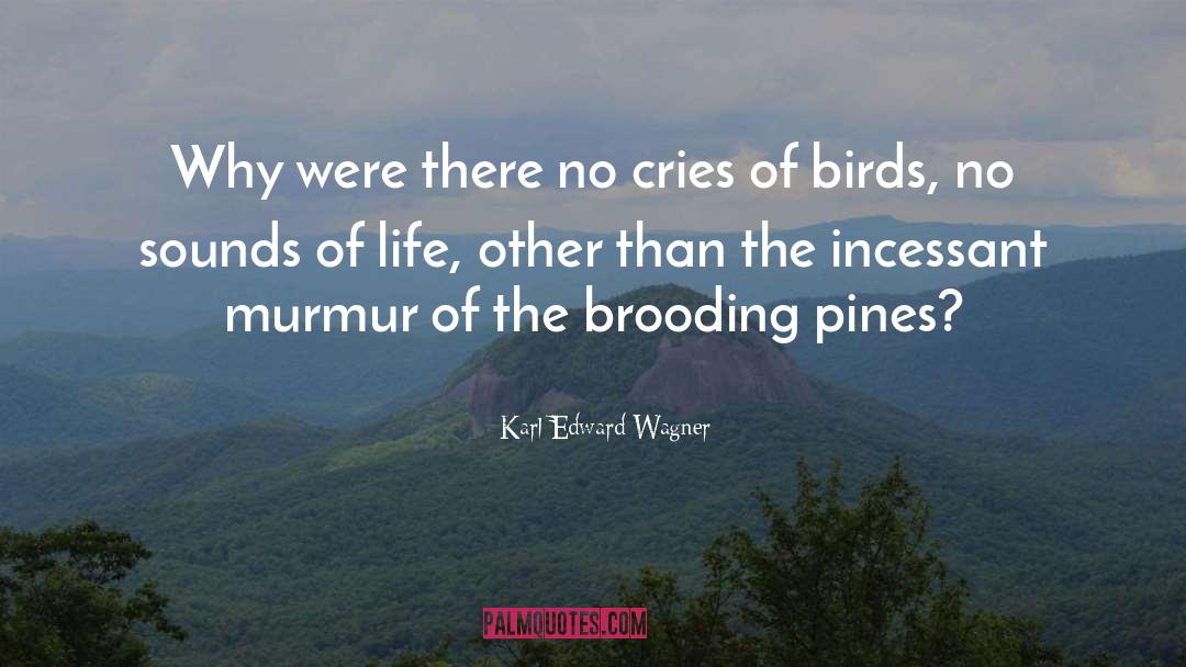 Karl Edward Wagner Quotes: Why were there no cries