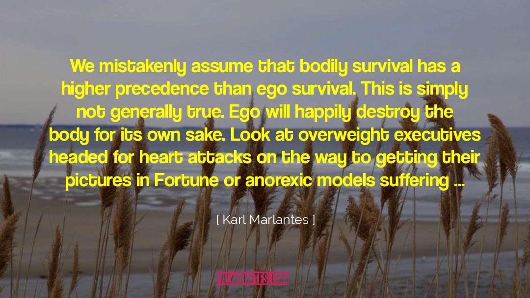 Karl Marlantes Quotes: We mistakenly assume that bodily