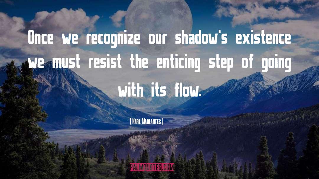 Karl Marlantes Quotes: Once we recognize our shadow's