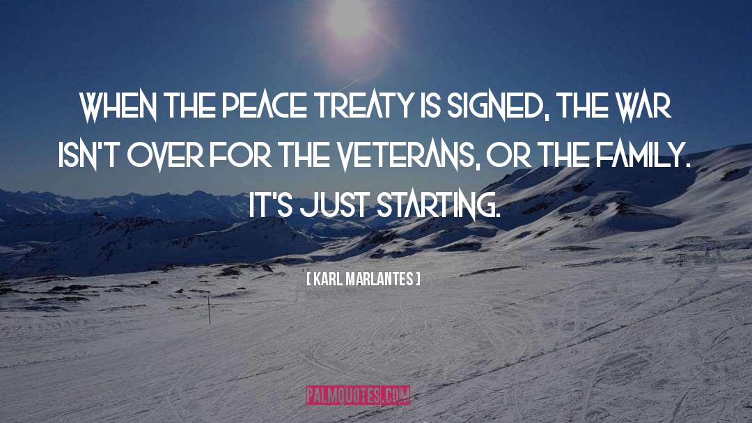 Karl Marlantes Quotes: When the peace treaty is