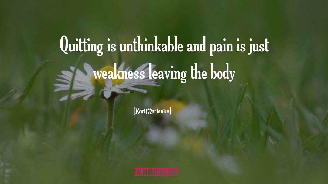 Karl Marlantes Quotes: Quitting is unthinkable and pain