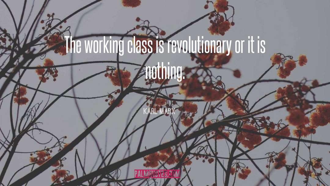 Karl Marx Quotes: The working class is revolutionary