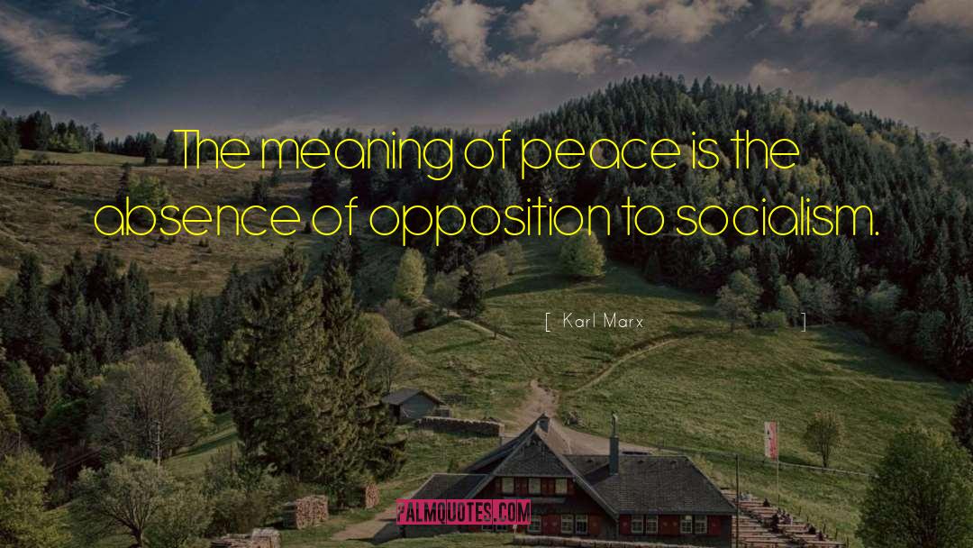 Karl Marx Quotes: The meaning of peace is