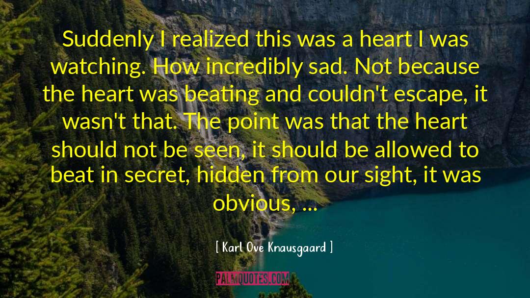 Karl Ove Knausgaard Quotes: Suddenly I realized this was
