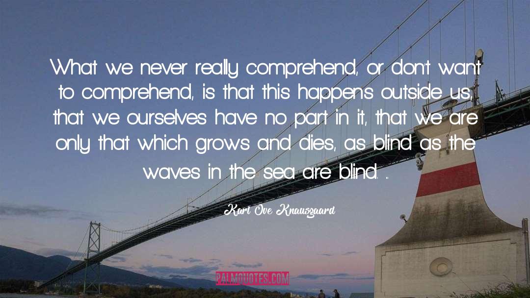 Karl Ove Knausgaard Quotes: What we never really comprehend,