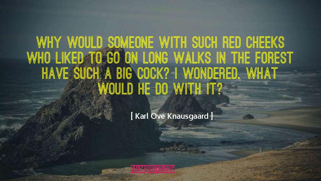 Karl Ove Knausgaard Quotes: Why would someone with such