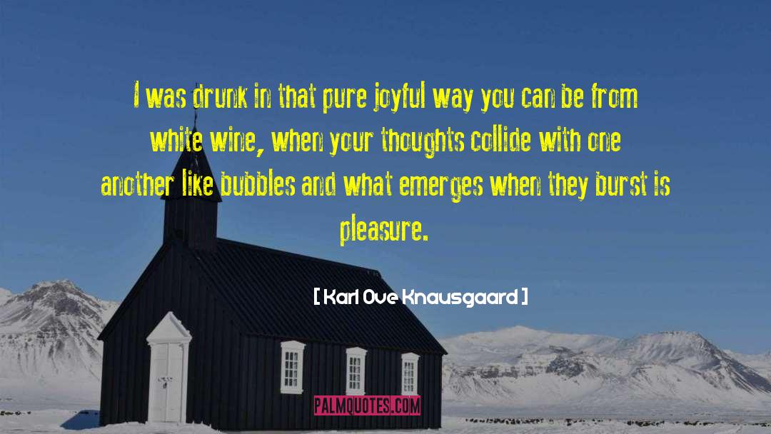 Karl Ove Knausgaard Quotes: I was drunk in that