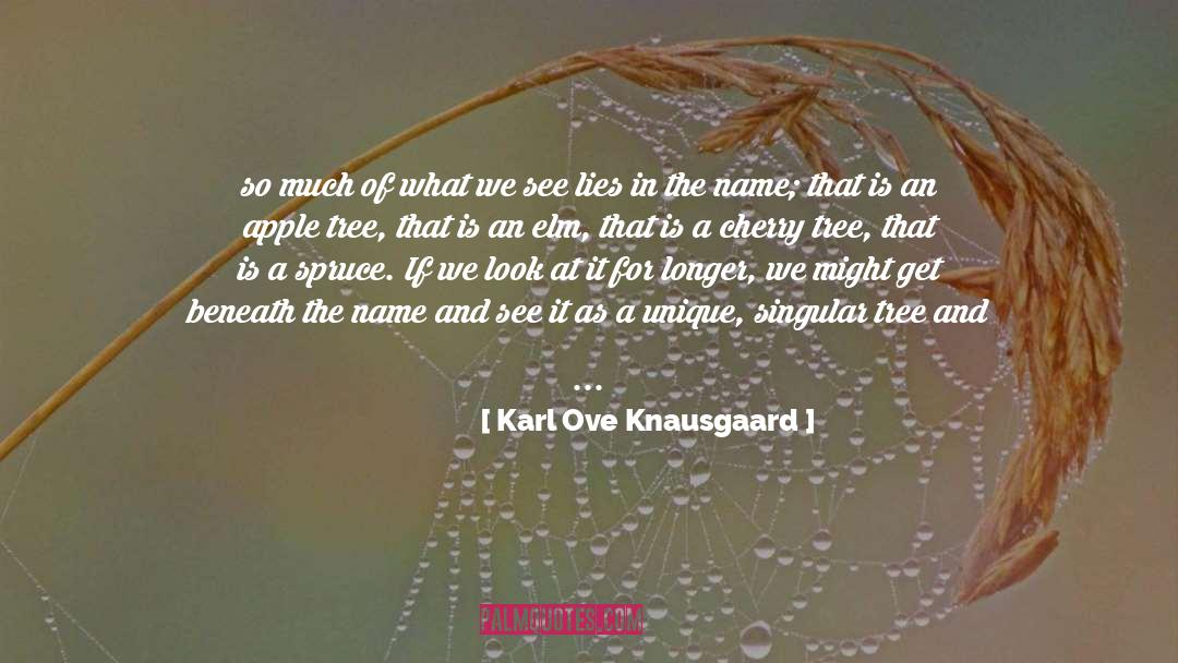 Karl Ove Knausgaard Quotes: so much of what we