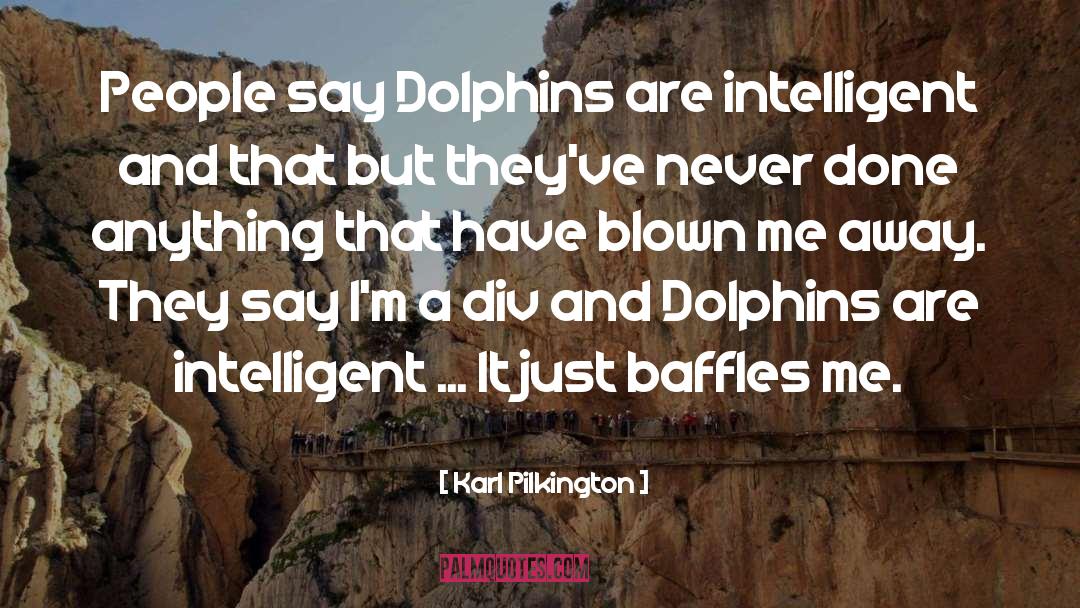 Karl Pilkington Quotes: People say Dolphins are intelligent