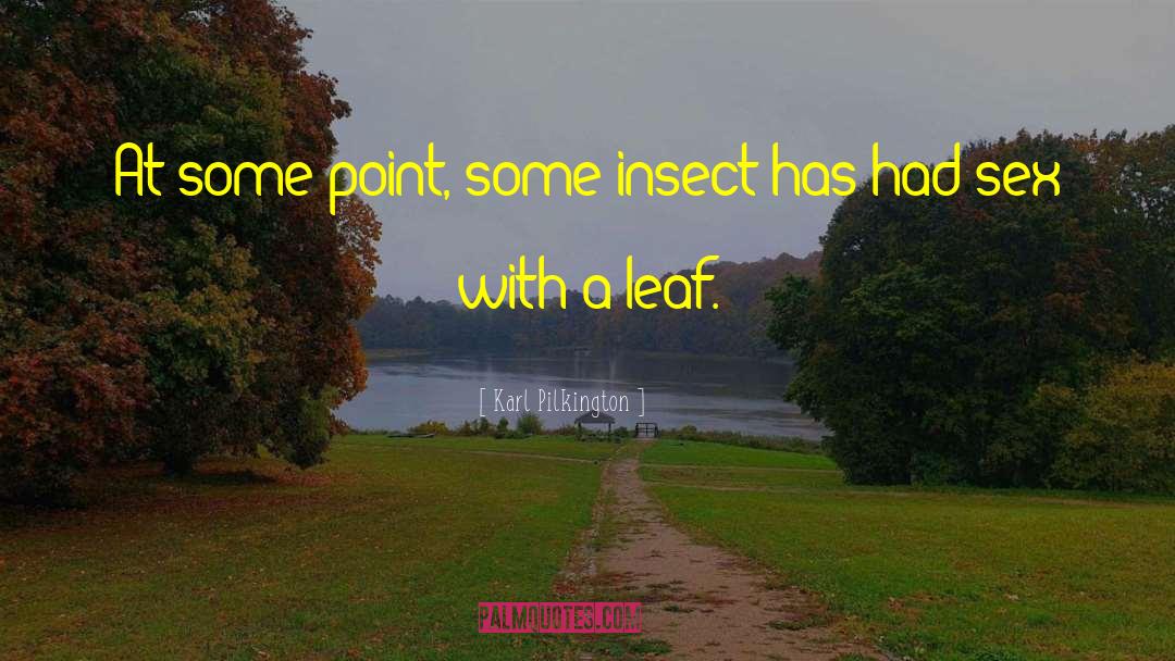 Karl Pilkington Quotes: At some point, some insect