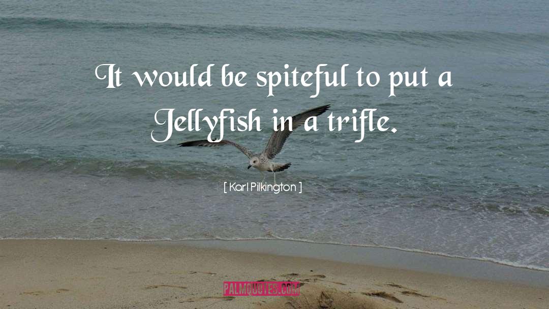 Karl Pilkington Quotes: It would be spiteful to