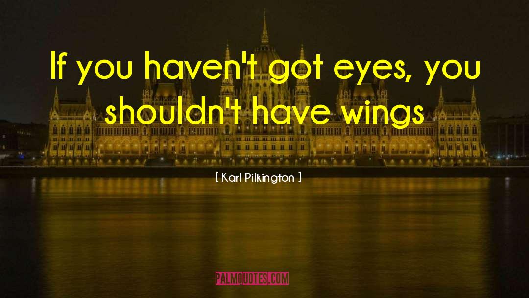 Karl Pilkington Quotes: If you haven't got eyes,
