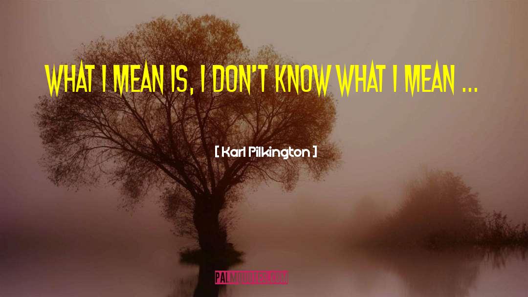 Karl Pilkington Quotes: What I mean is, I