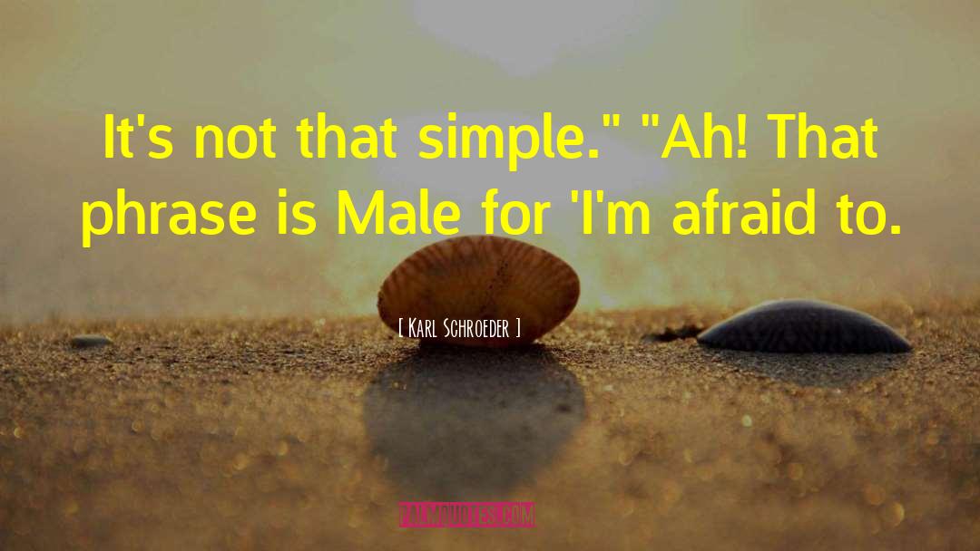 Karl Schroeder Quotes: It's not that simple.