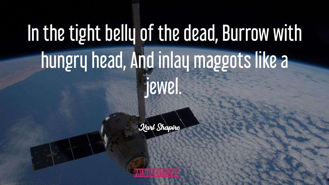 Karl Shapiro Quotes: In the tight belly of